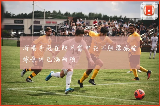 海港夺冠在即只需申花不胜蓉城输球条件已满两项