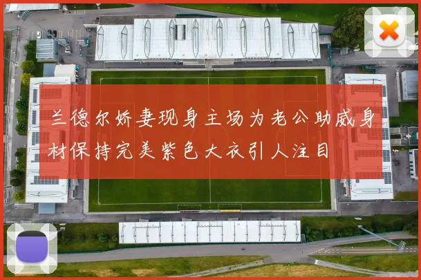 兰德尔娇妻现身主场为老公助威身材保持完美紫色大衣引人注目