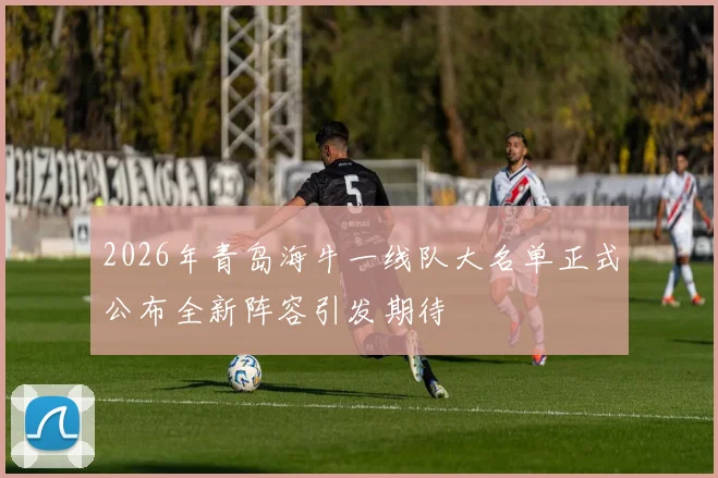 2026年青岛海牛一线队大名单正式公布全新阵容引发期待
