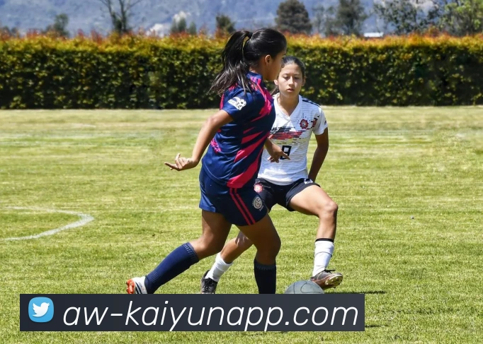 开云体育APP 高清赛事图